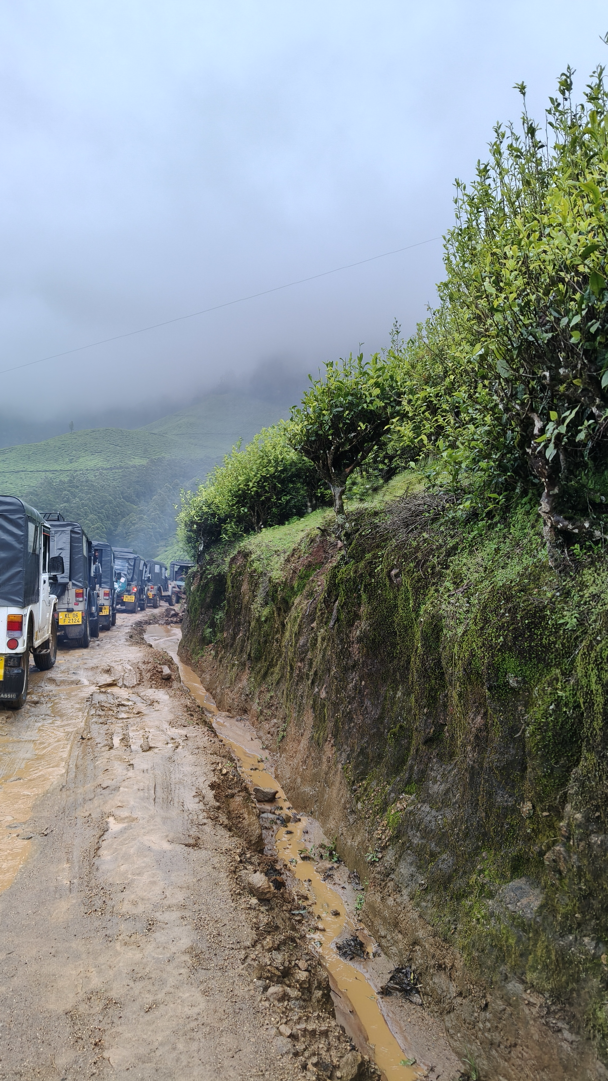 Long convoy of jeeps on Kolukkumalai muddy road surrounded by tea plantations and fog